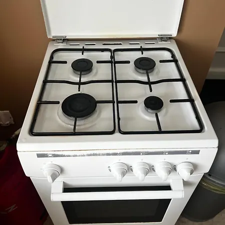 Camelia * La Reorthe