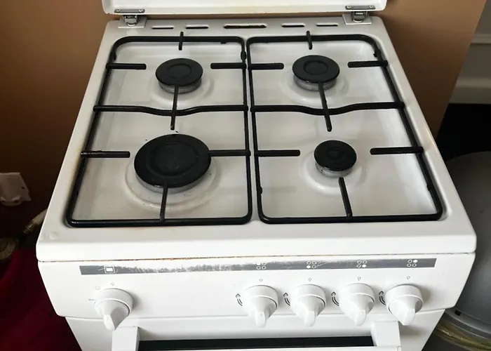 Camelia * La Réorthe